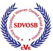 service disabled veteran owned small business